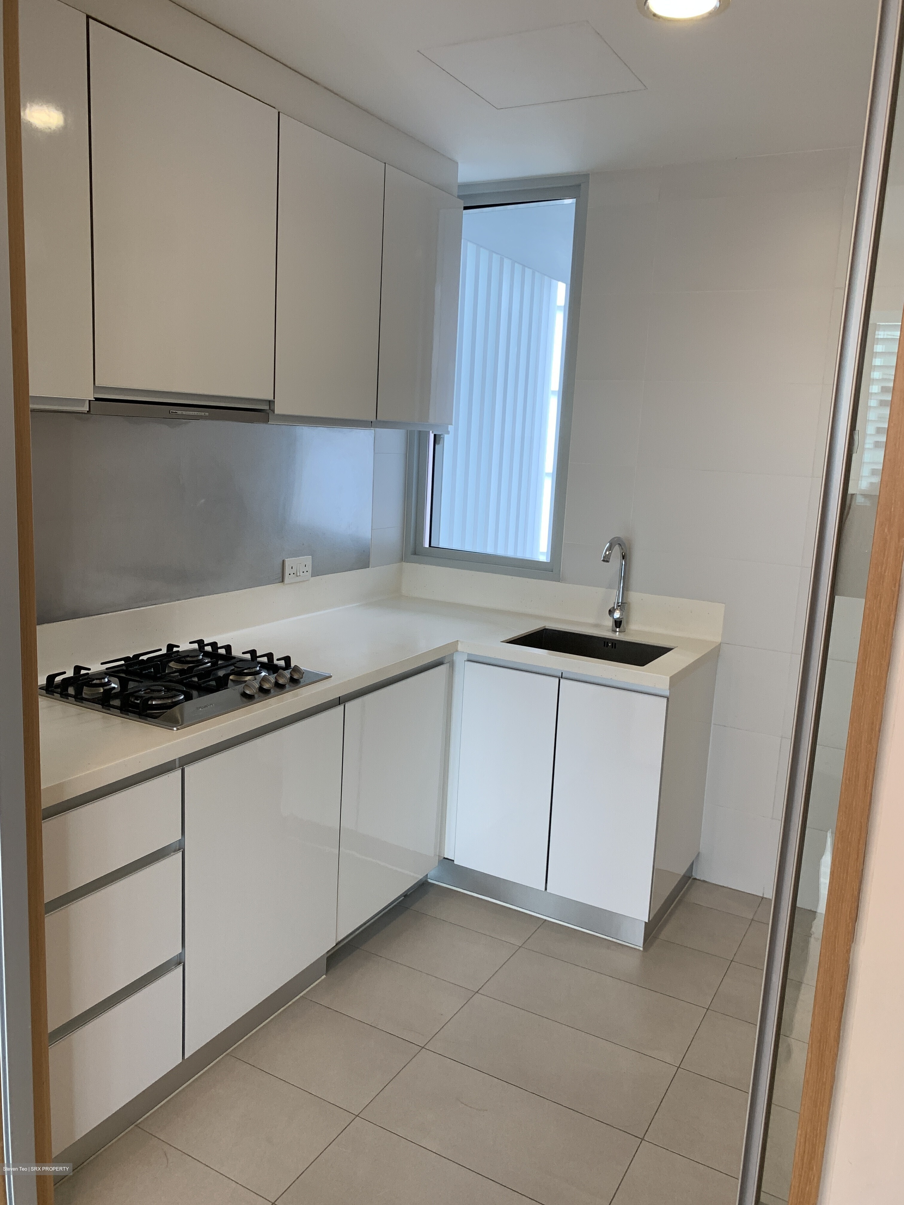 The Vermont On Cairnhill (D9), Apartment #356753401